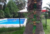 Quinta las palmeras