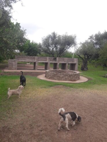 Quinta las palmeras
