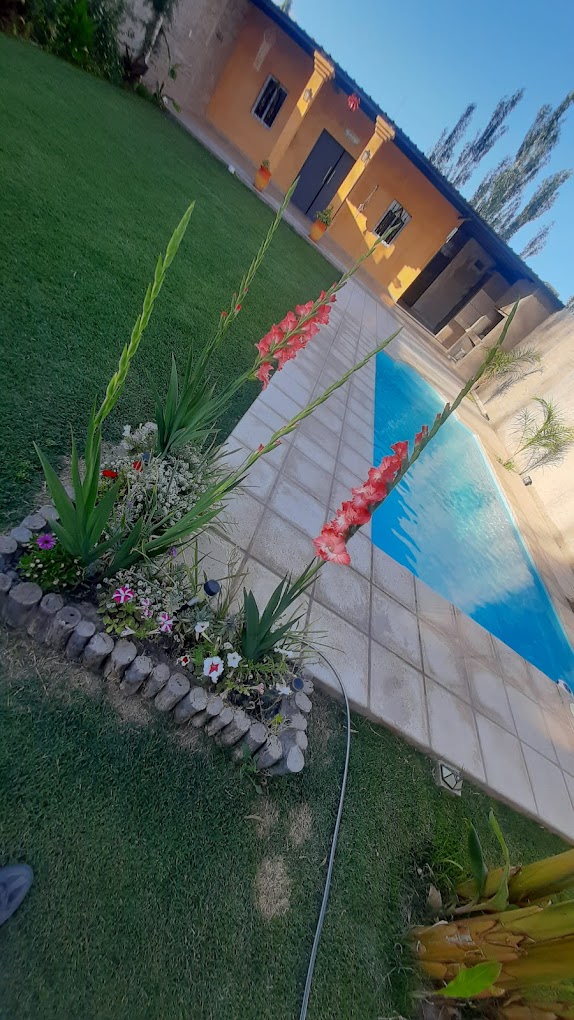 Quincho “THE GIANNI”