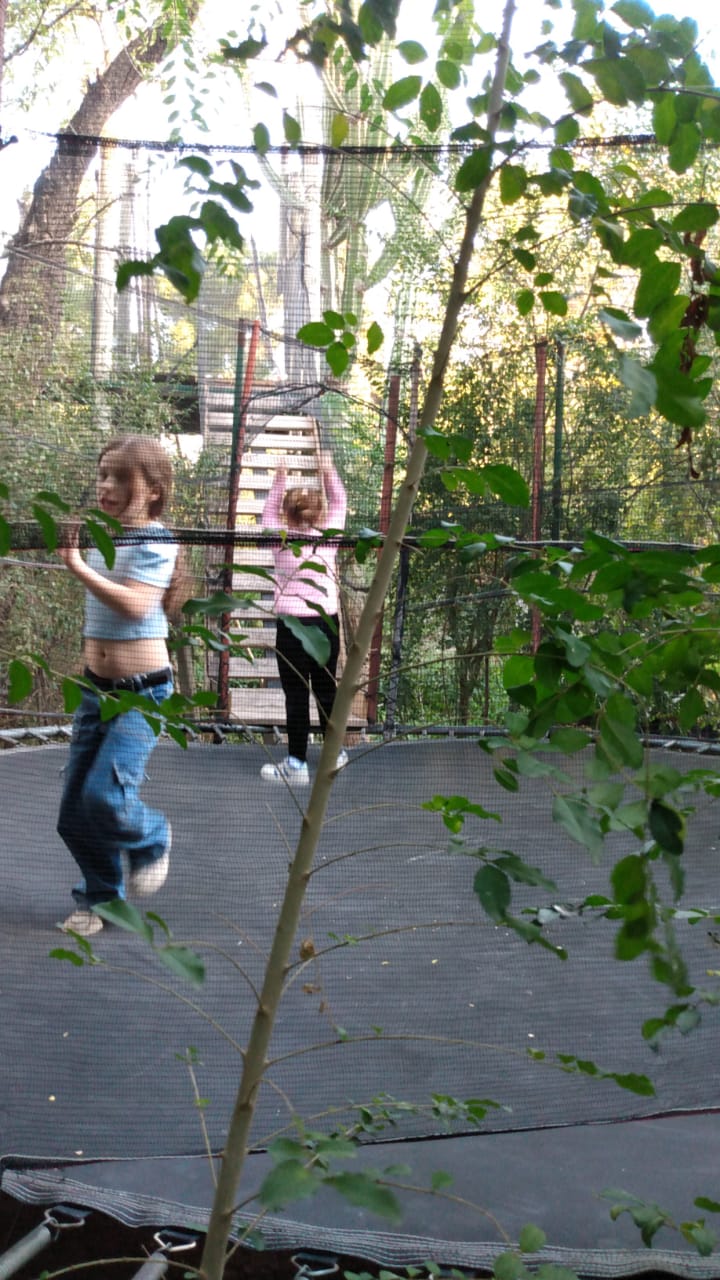 Parque aventura Vivenciar