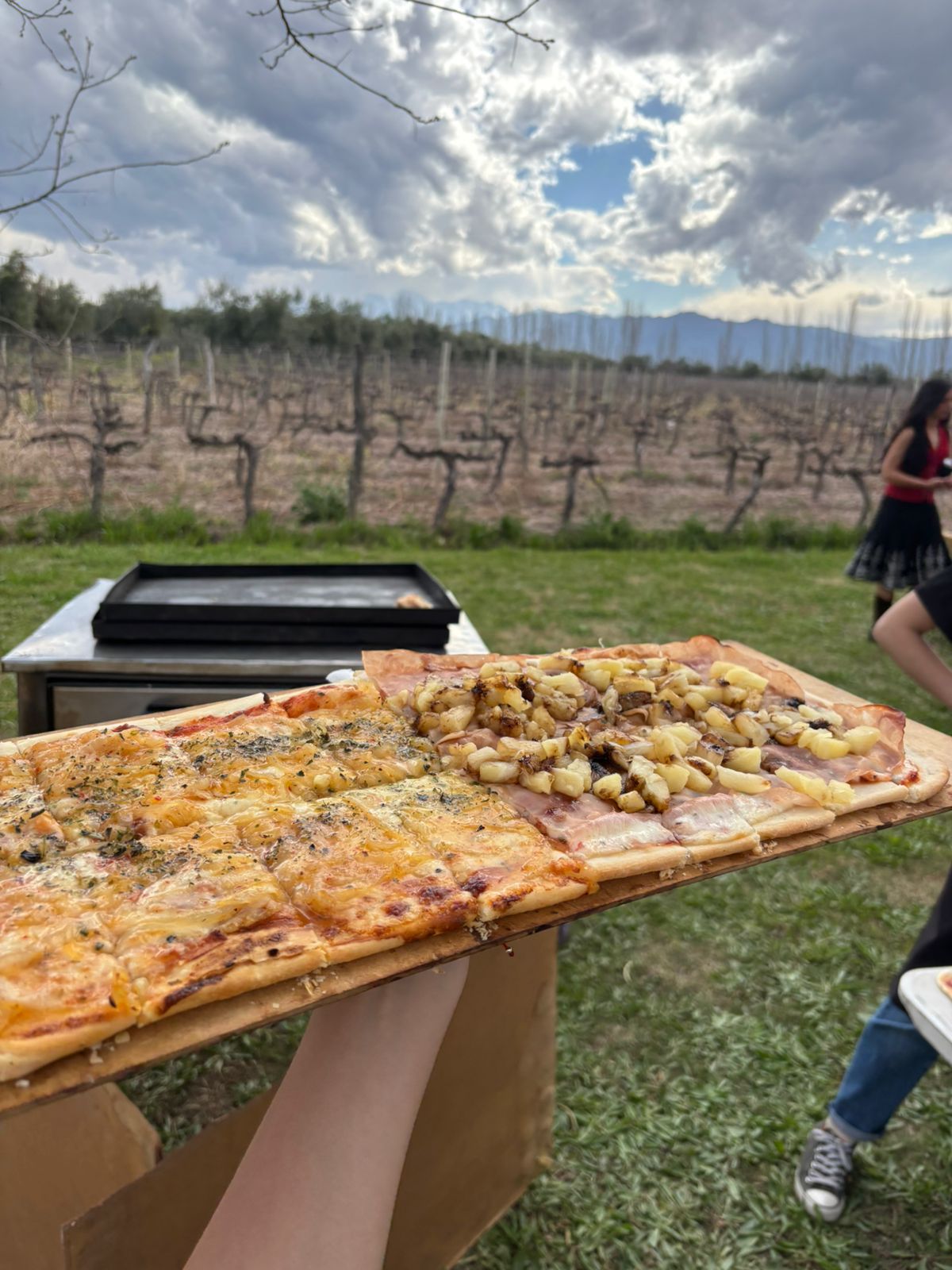 Mengano Party – catering