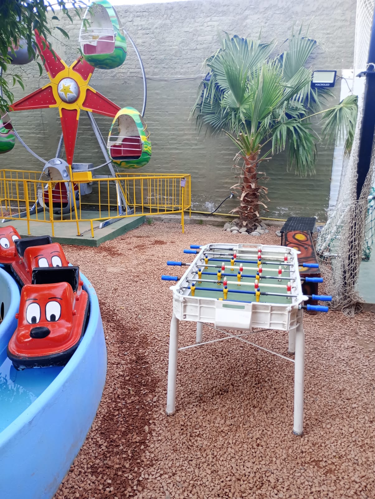 Pelotero Mundo Mágico