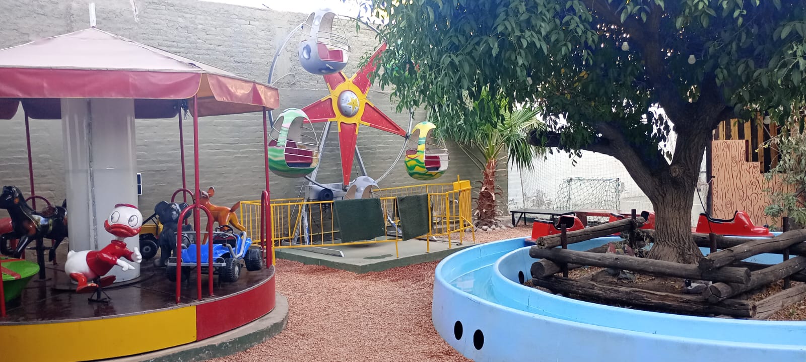 Pelotero Mundo Mágico